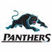 Penrith Panthers Secure Another $888,000 Young Talented Fullback for Next Season