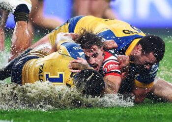 Sydney Roosters sign released Eels outside back
